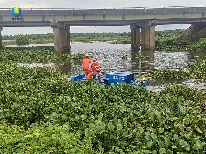 1710122497738782.jpg 2.jpg