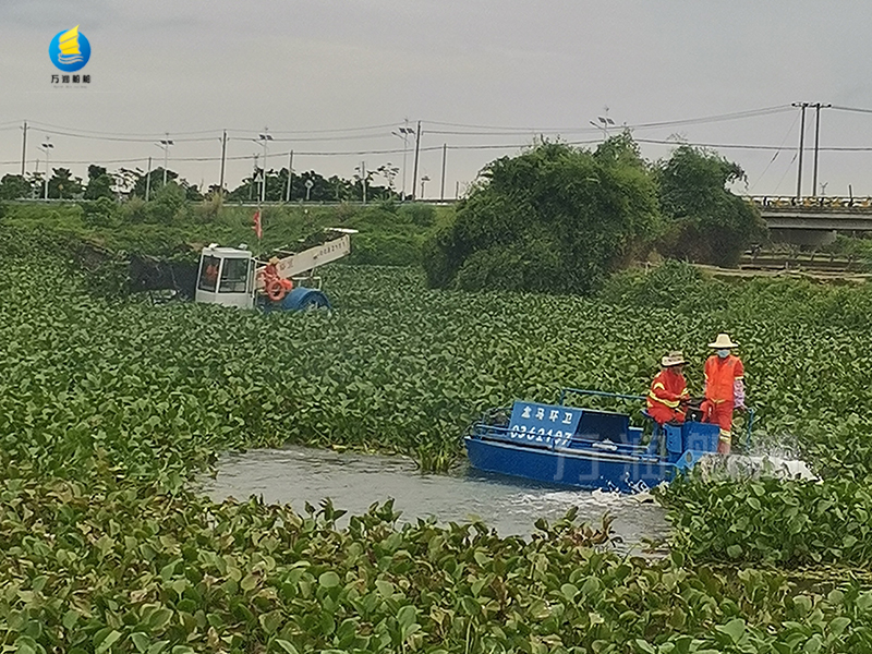 1710122508184689.jpg 3.jpg