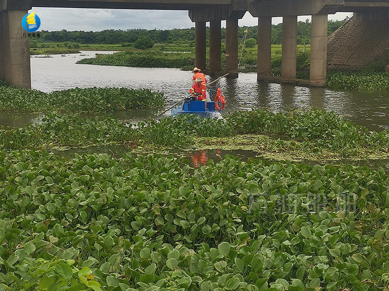 1710122517597287.jpg 4.jpg