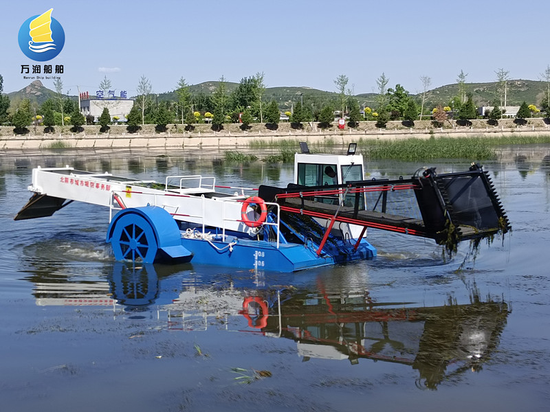 1711091533744102.jpg IMG_20230604_090739.jpg