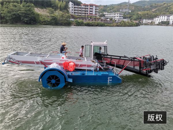小型全自动水葫芦打捞船使用现场
