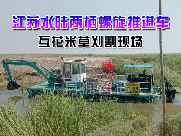 江苏互花米草刈割现场