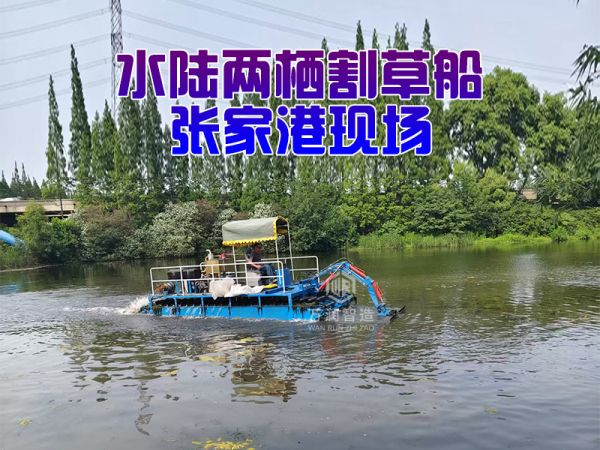 张家港现场---水陆两栖割草船！