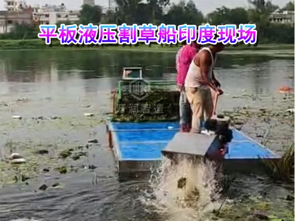 现场案例----液压平板割草船印度现场！