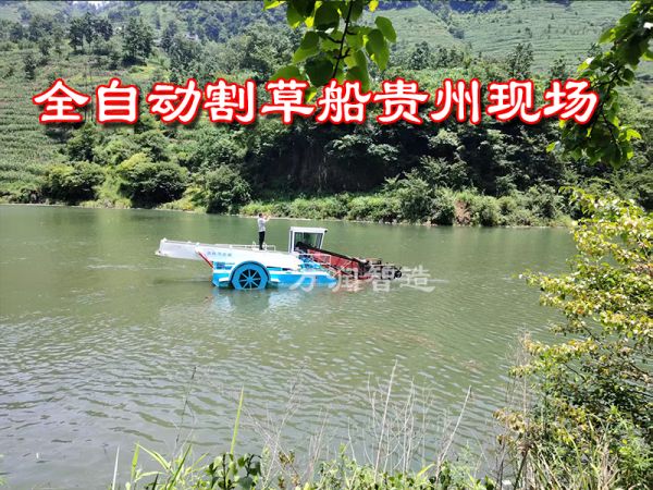 全自动割草船---贵州现场！！