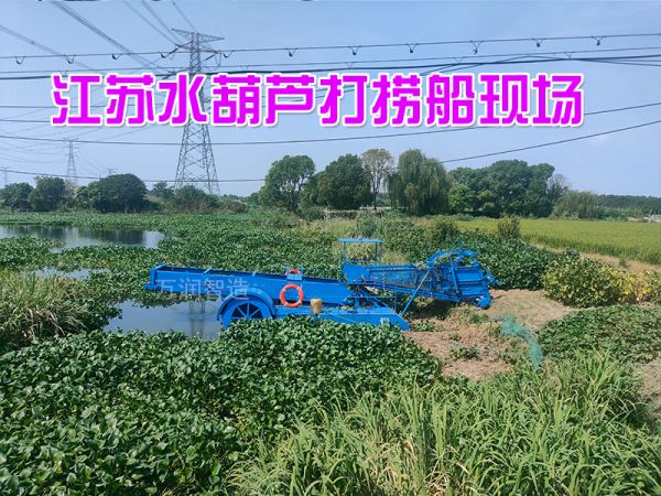 今日现场：全自动割草船江苏现场！
