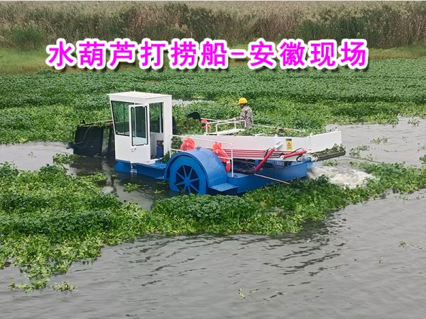 今日现场：全自动水葫芦打捞船---安徽现场！