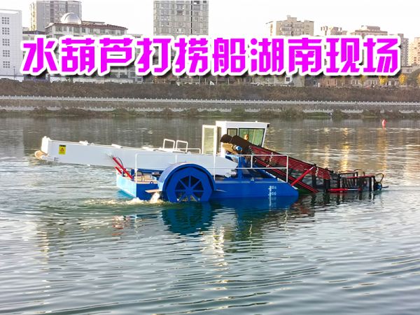 现场案例：小型全自动水葫芦打捞船湖南现场
