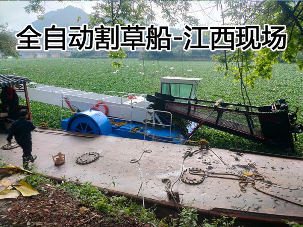 现场案例：小型全自动割草船江西现场！