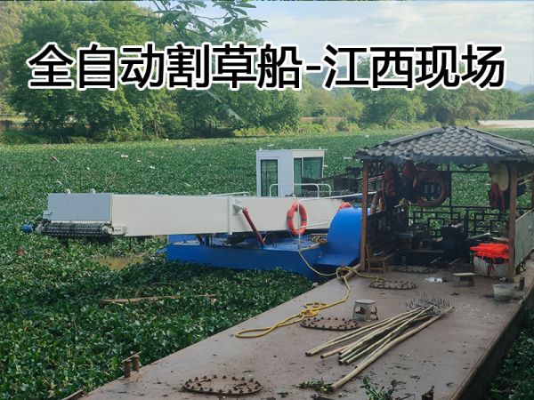 江西全自动割草船现场！