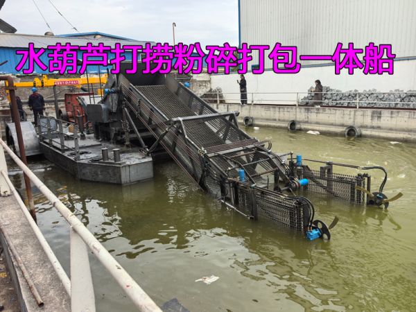 出口国外的水葫芦打捞+粉碎+打包一体船下水试机！